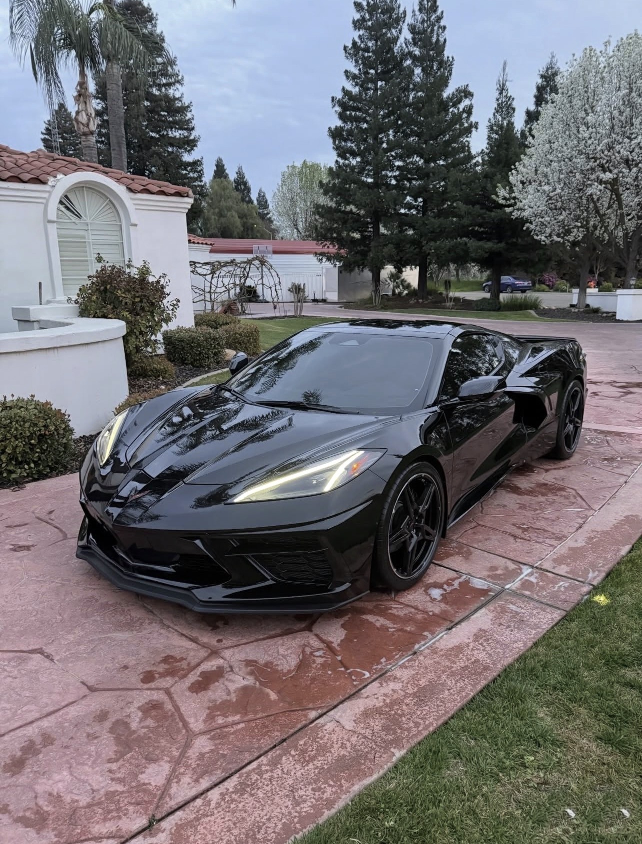 Black Corvette detail